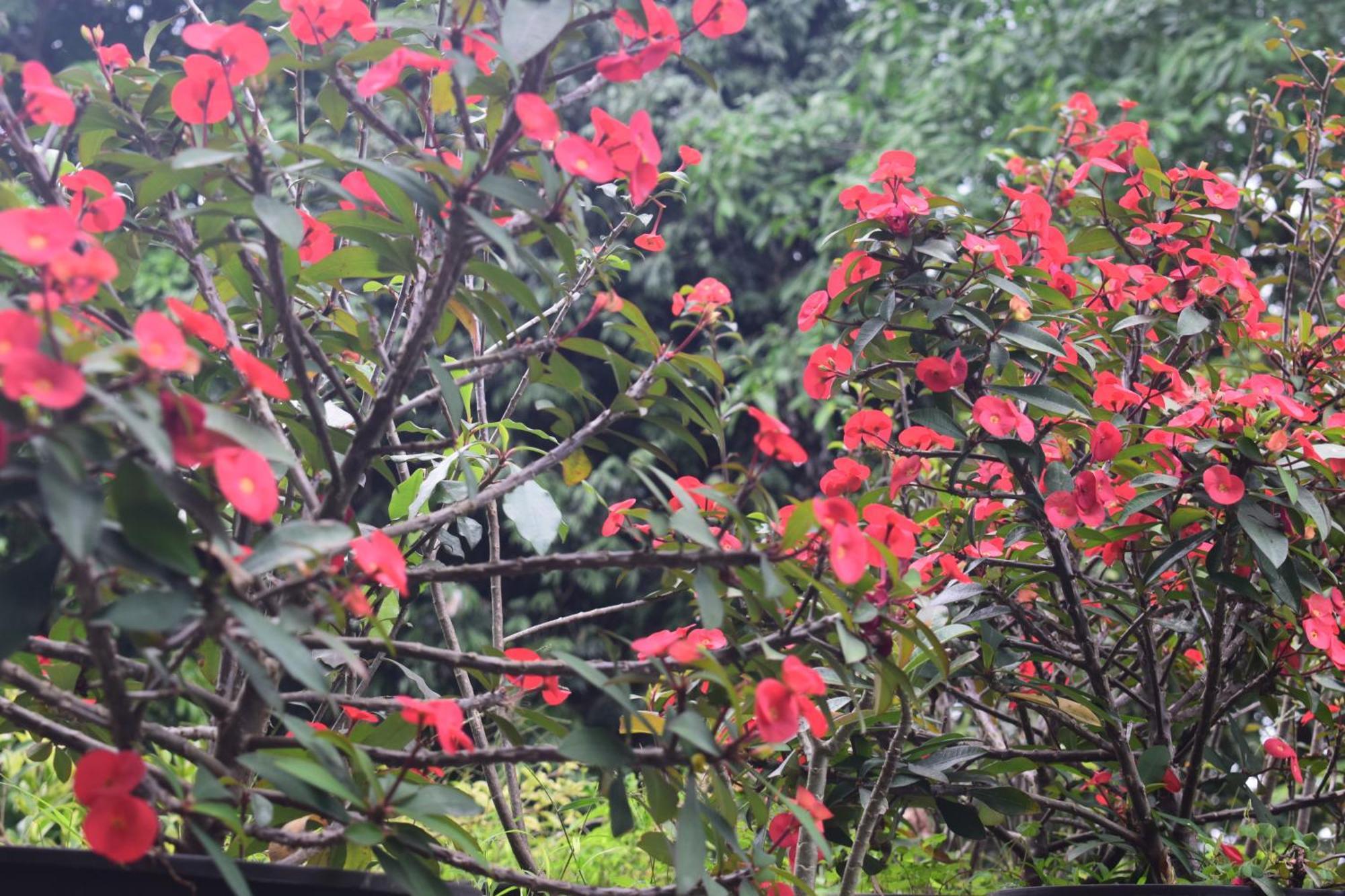 Namaya Nature Kandy Exterior photo